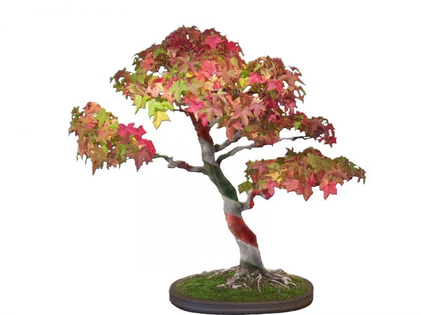 Creation of bonsai cane: Step 4